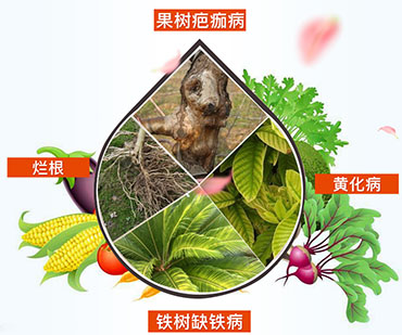 ���၆�F���ϵ�����