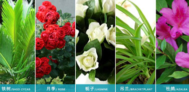 ���၆�F�����ü�ʹ�÷���